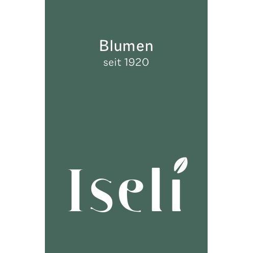 Blumen Iseli Logo