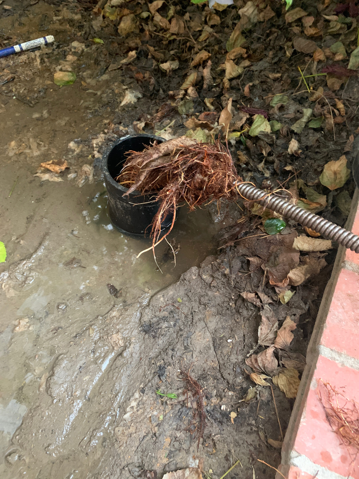 Team Rooter Plumbing - San Diego Image