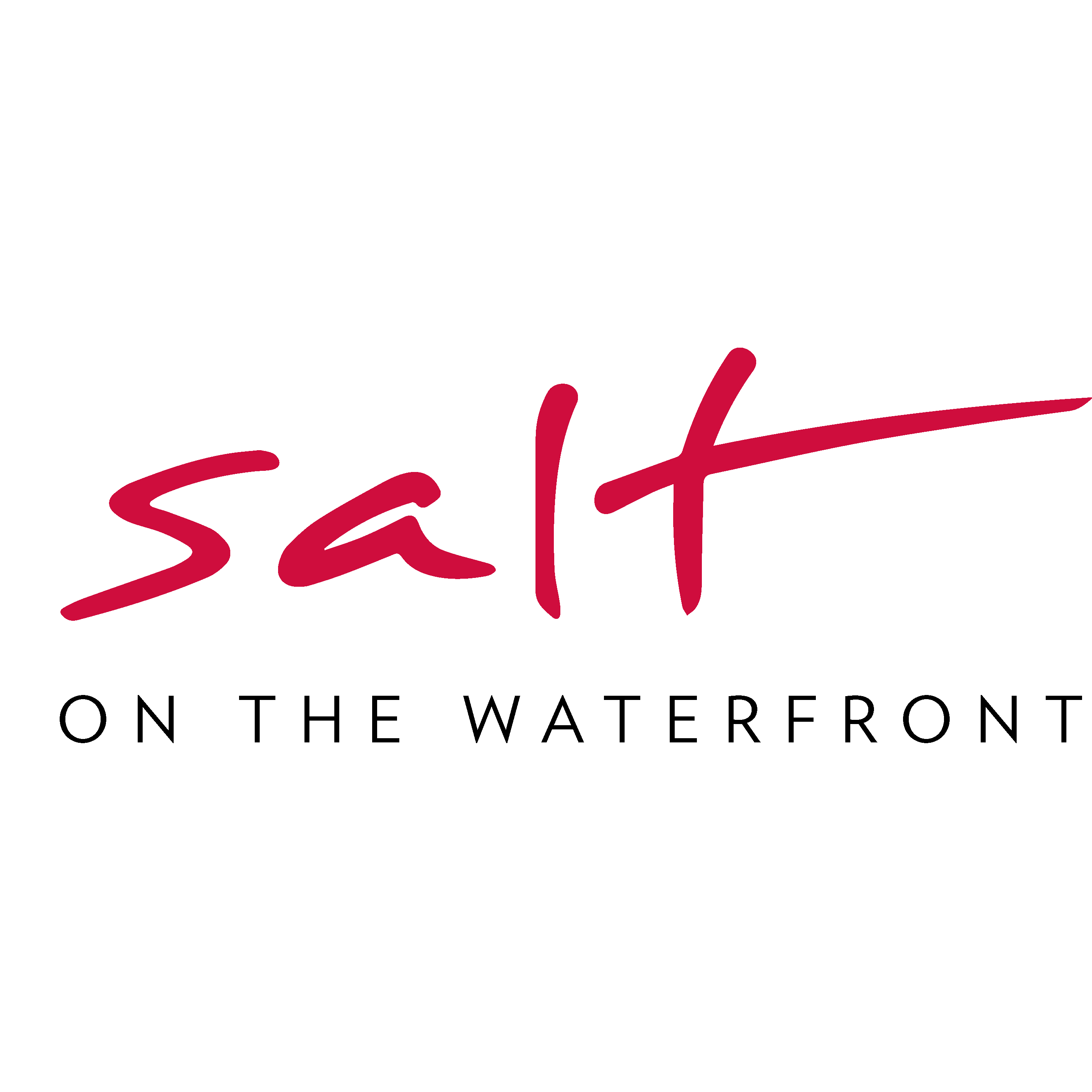 Salt Restaurant New Plymouth Logo