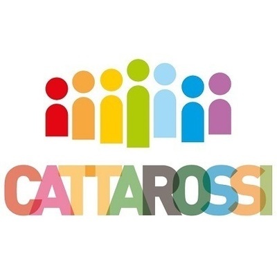 Mons. Domenico Cattarossi Logo