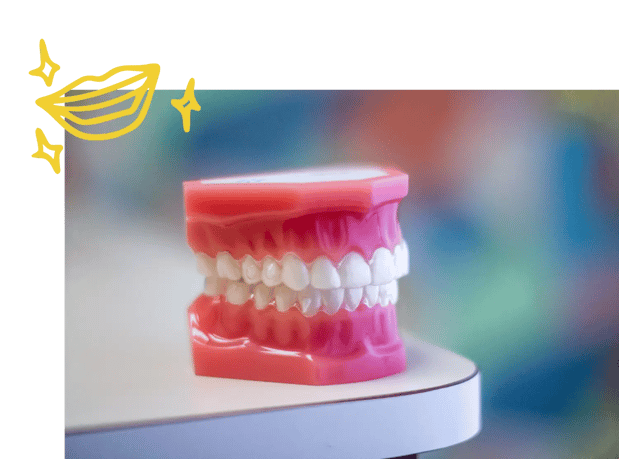 Images Hawley Orthodontics