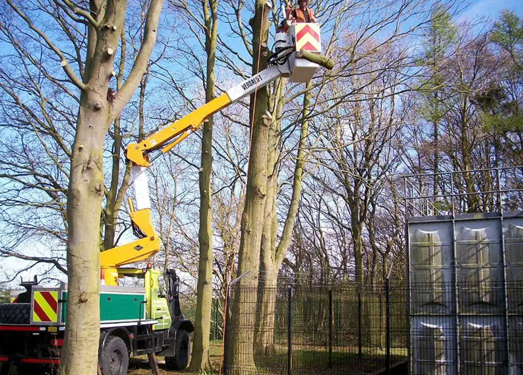 Images Yorkshire Tree Contractors