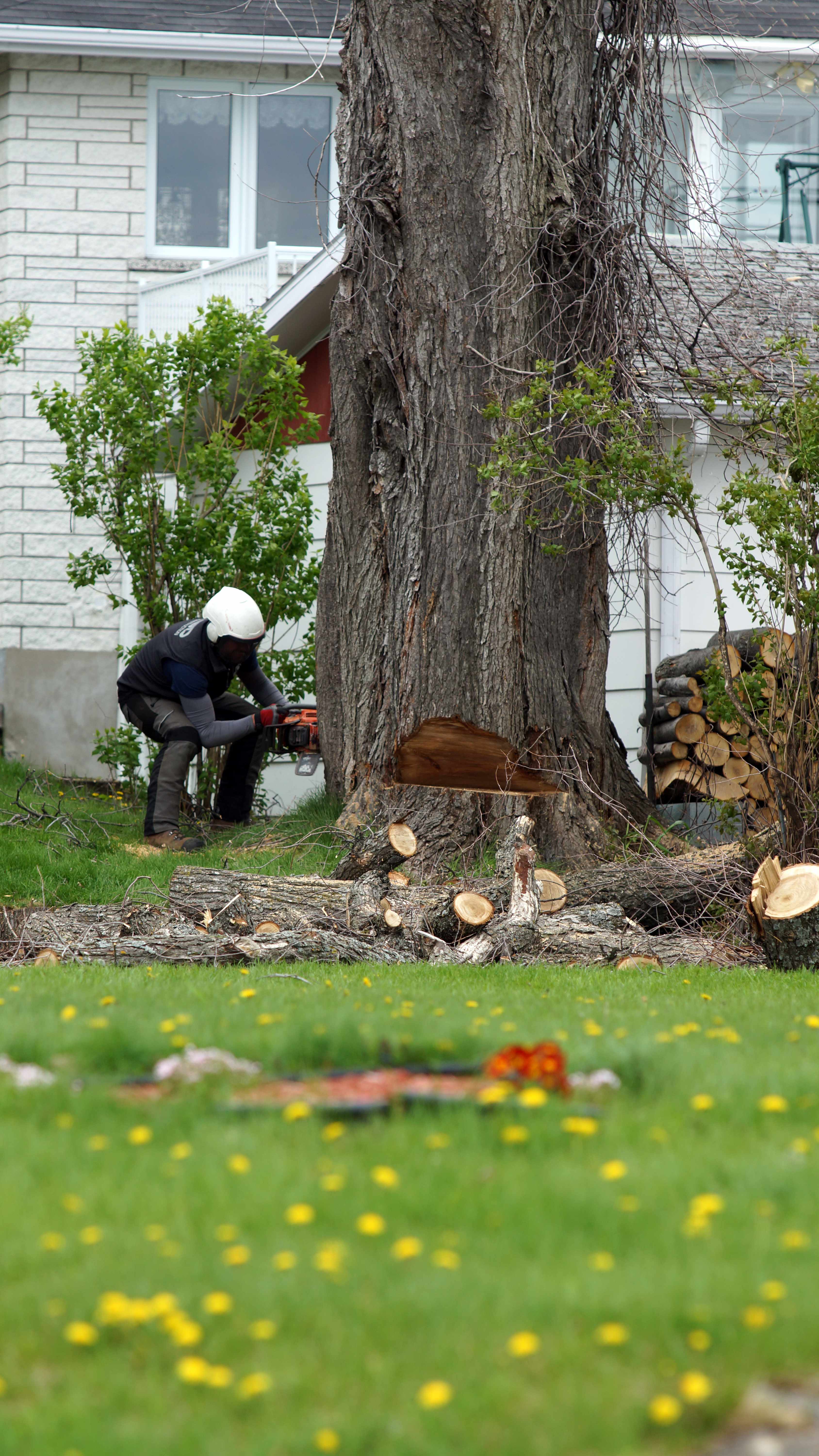 Images les Arboriculteurs du lac