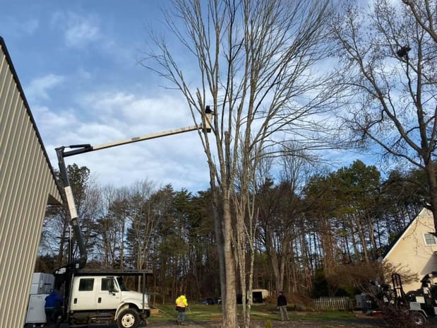 Images God's Way Tree Service