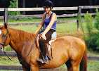 Images Star Ridge Stables