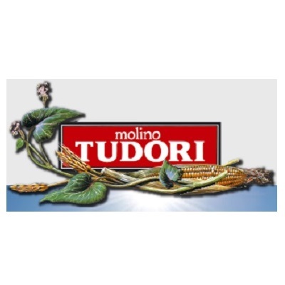 Molino Tudori Logo