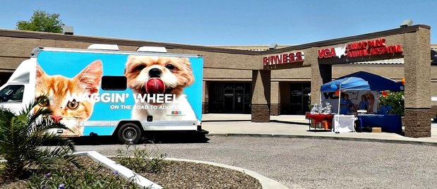 Images VCA Elliot Park Animal Hospital