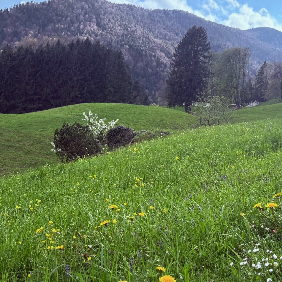 Gut Pfotental Tierfutter in Mettenheim