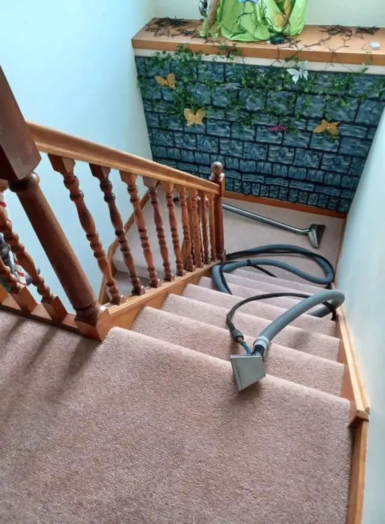 Images Johnshaven Carpet Cleaning Services