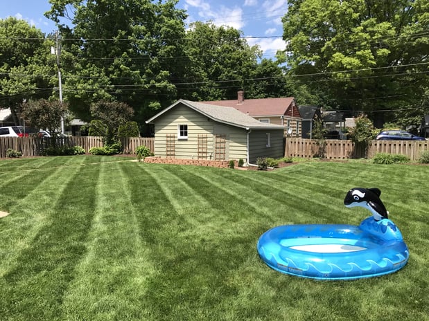 Images Rooted Lawn & Landscape