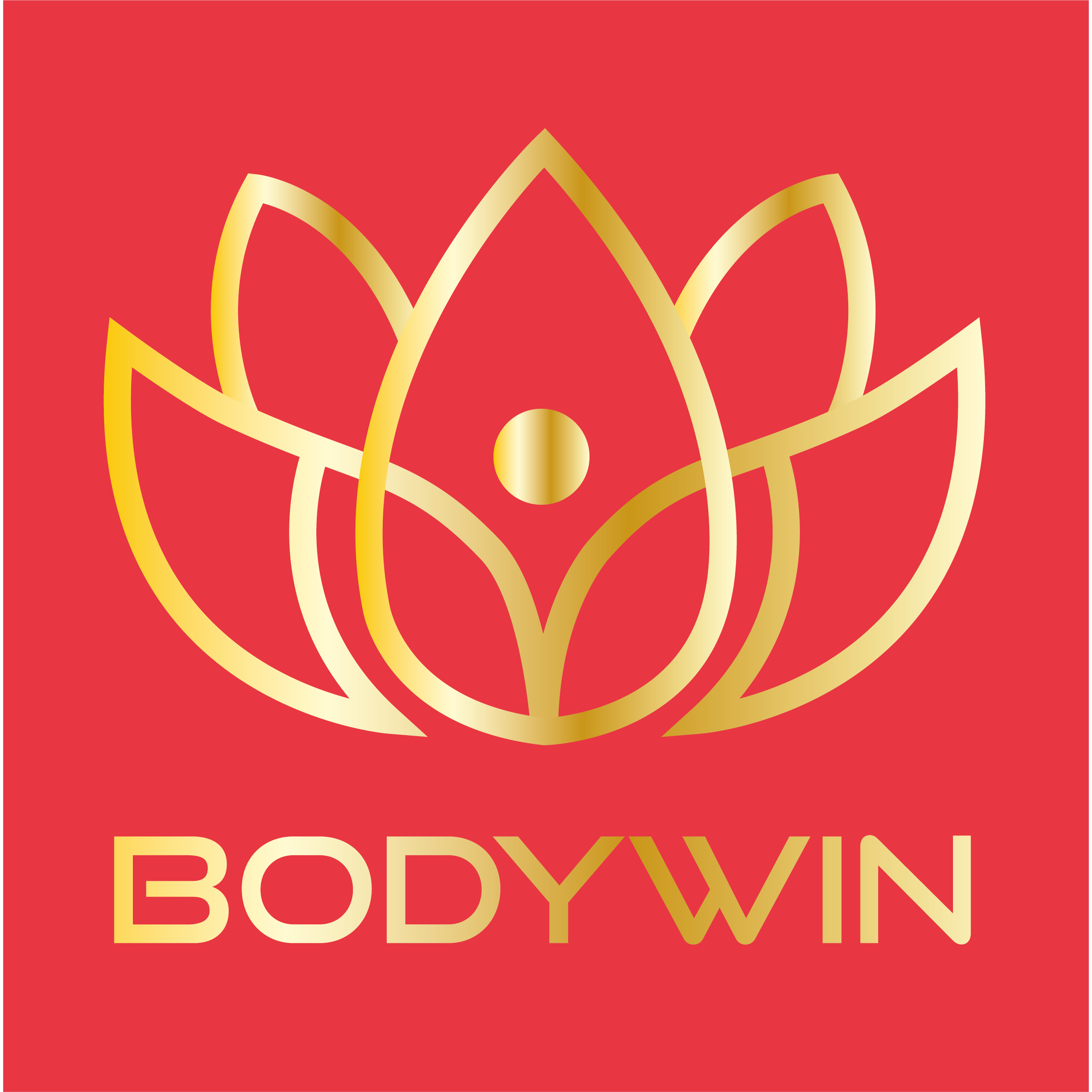 Bodywin SA Logo