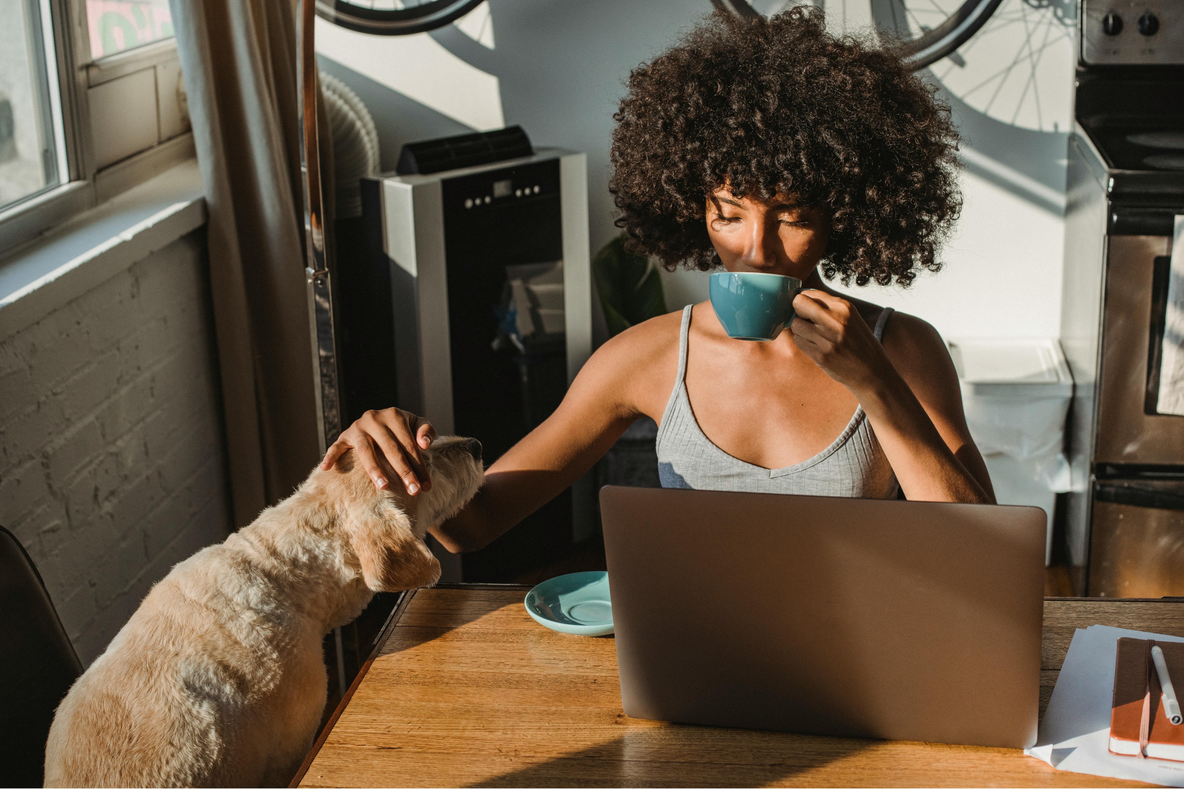 Remote work with your Best Friend