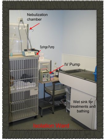 Images VCA Village Animal Hospital