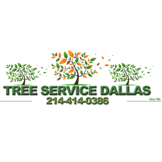 Tree Service Dallas Logo