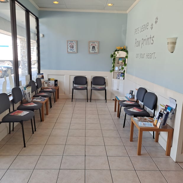 Images Vetco Total Care - SouthPaw Animal Clinic