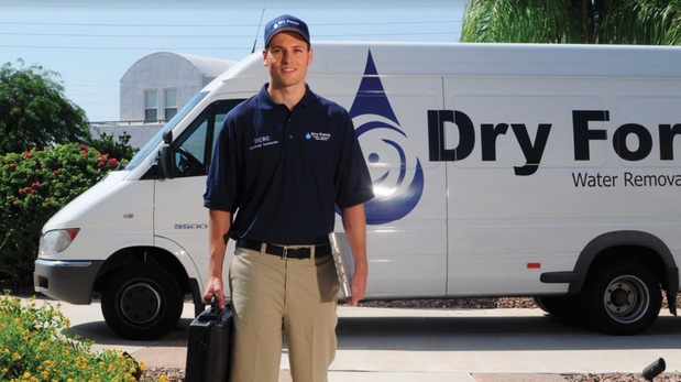 Images Dry Force Water Removal Specialists
