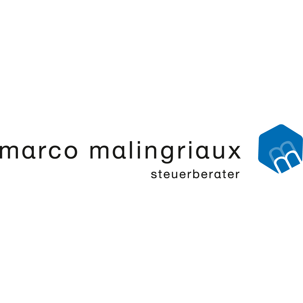 Steuerberater Marco Malingriaux in Berlin - Logo