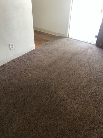 Images Carpet Pro Carpet Cleaning & Dyeing