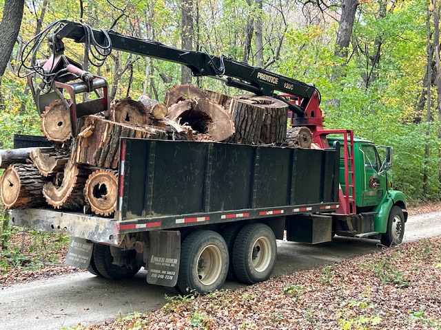 Images Eager Beaver Tree Service LLC