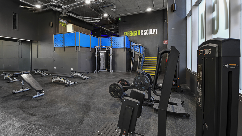 Strength & Sculpt Area