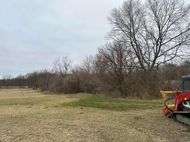 Images RED'S Forestry Mulching