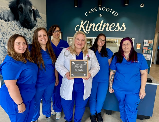 Images CityVet Veterinary Clinic & Urgent Care