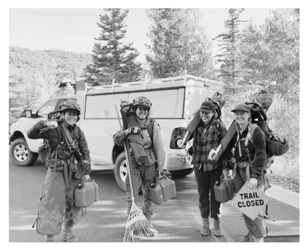 Images Alpine Forestry