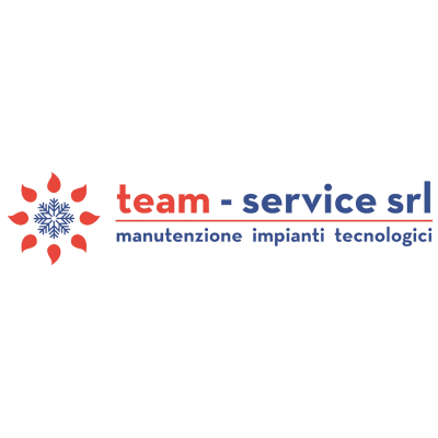 Team Service Logo