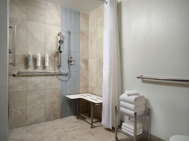 Images Hampton Inn & Suites Austin Downtown