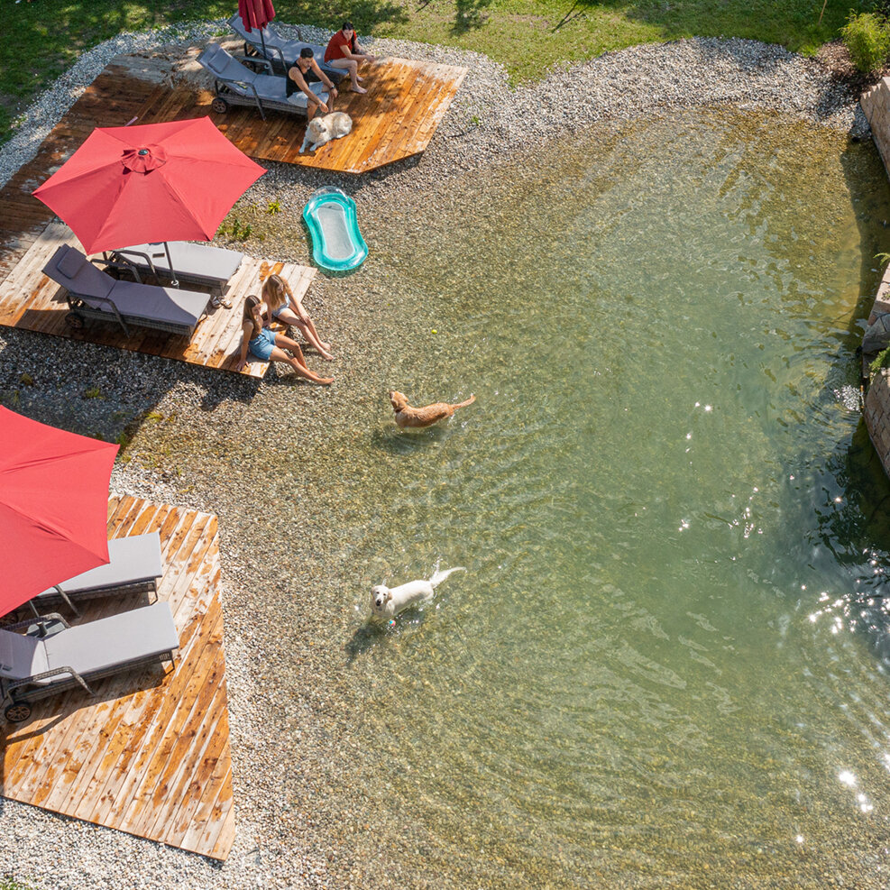 Hotel Residenz Gruber *** Urlaub mit Hund, Südtiroler Straße 2 in Bad Gastein