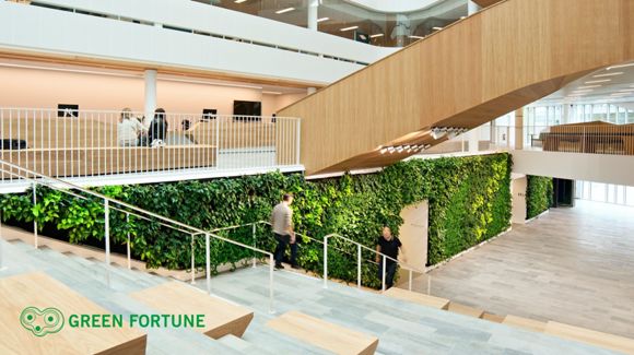 Images Green Fortune