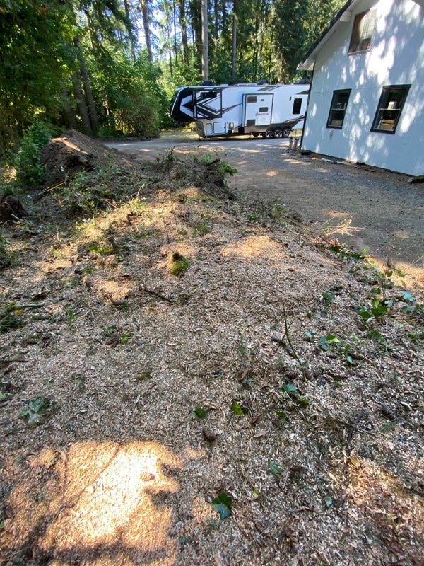 Images Alexa's Tree Service