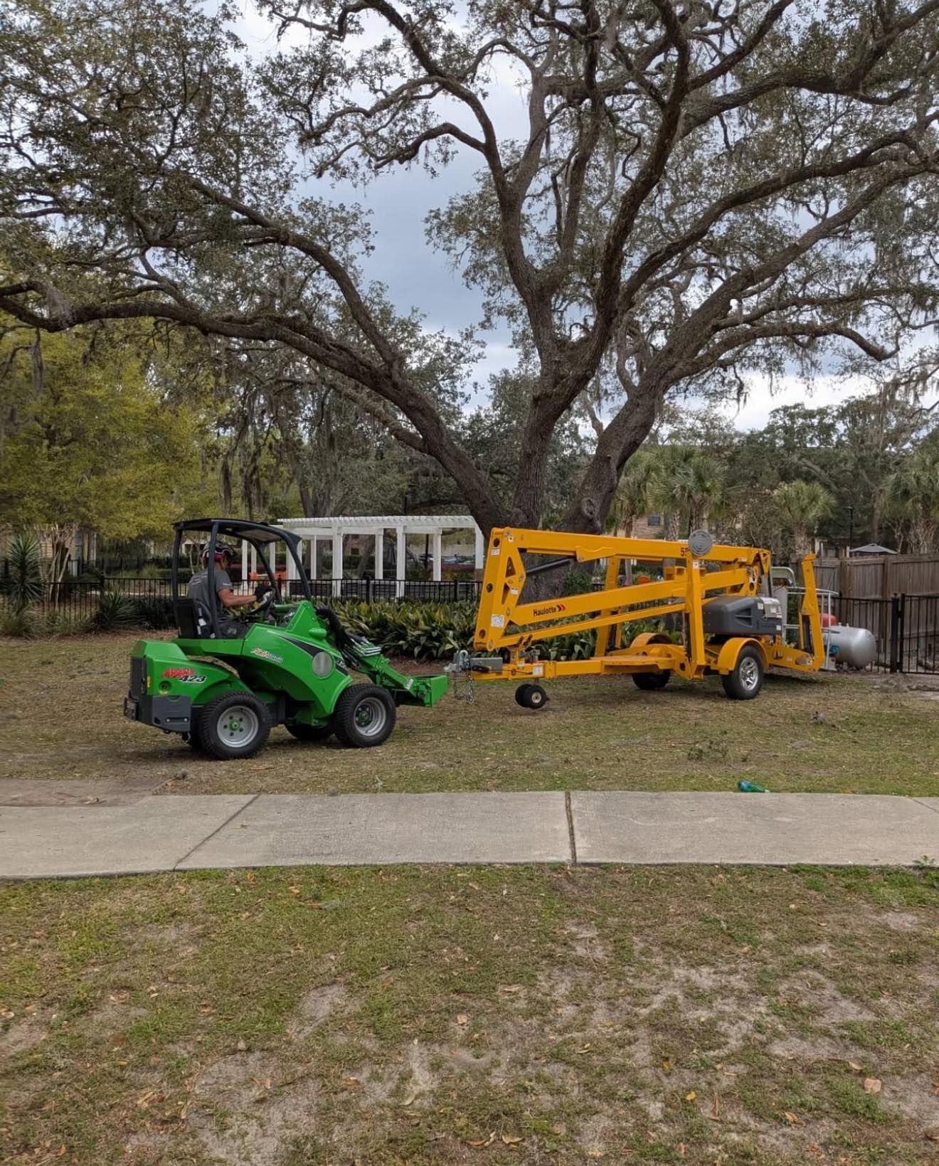 Forged Tree Service Image