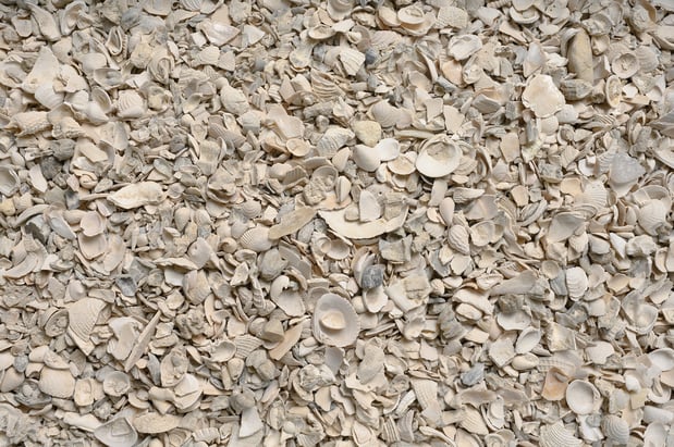 Images Olimar Stone - Miami