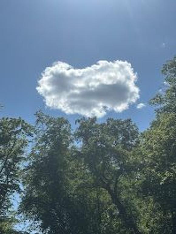 Images Berg Medial Kommunikation