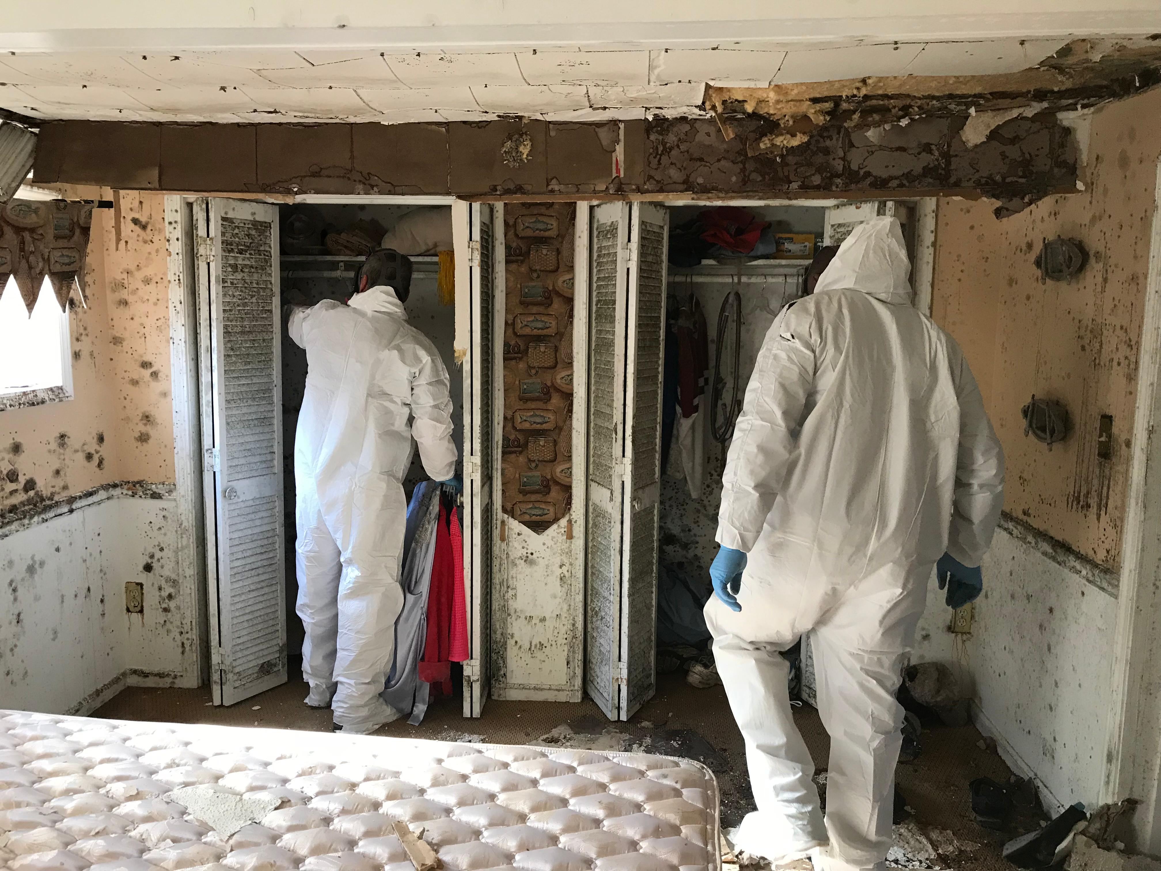 Mold took over this home, but our team removed the infested materials and sealed the mold so it could be restored to its previous condition.