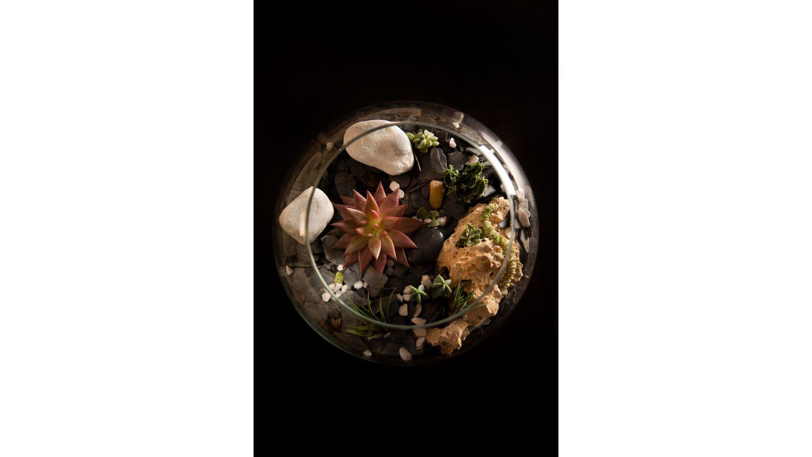 Cementiri Comarcal Roques Blanques 26