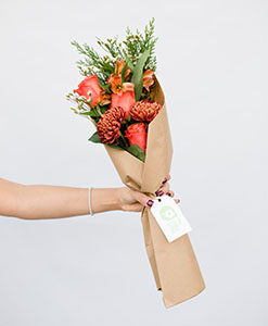 Images My Little Posy