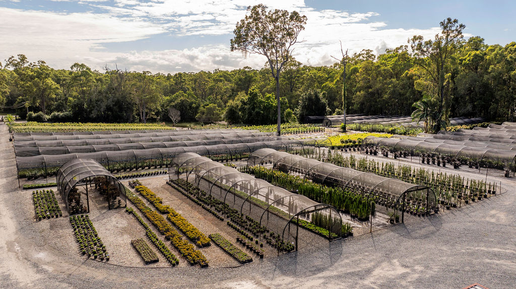 Images Barellan Nursery, Design & Landscaping