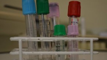 Images Karlskrona Djurklinik