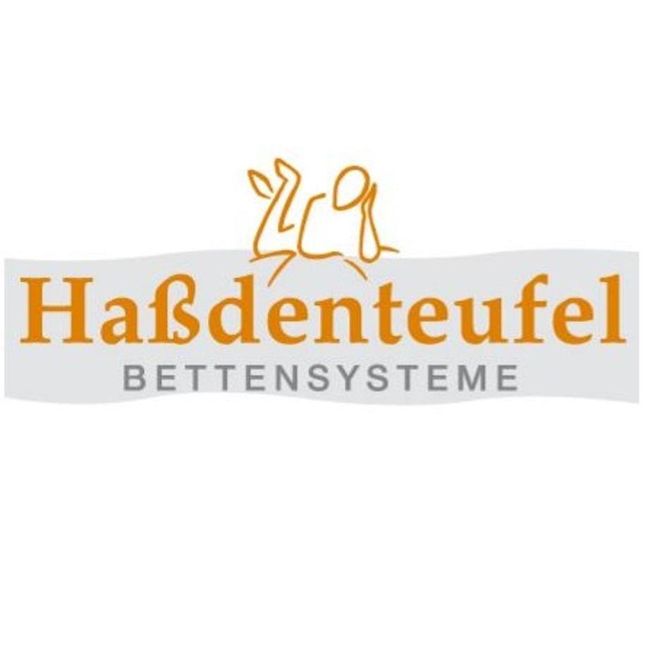 Haßdenteufel Bettensysteme in Saarlouis - Logo