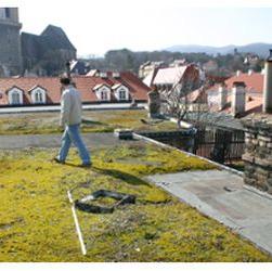 HEDBERG Schwarzdeckerei & HandelsgesmbH, Ortsstraße 16 in Vösendorf