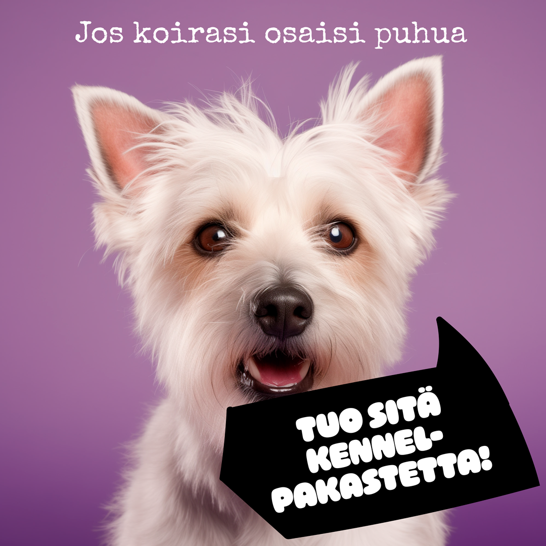 Images Kennelpakaste Oy