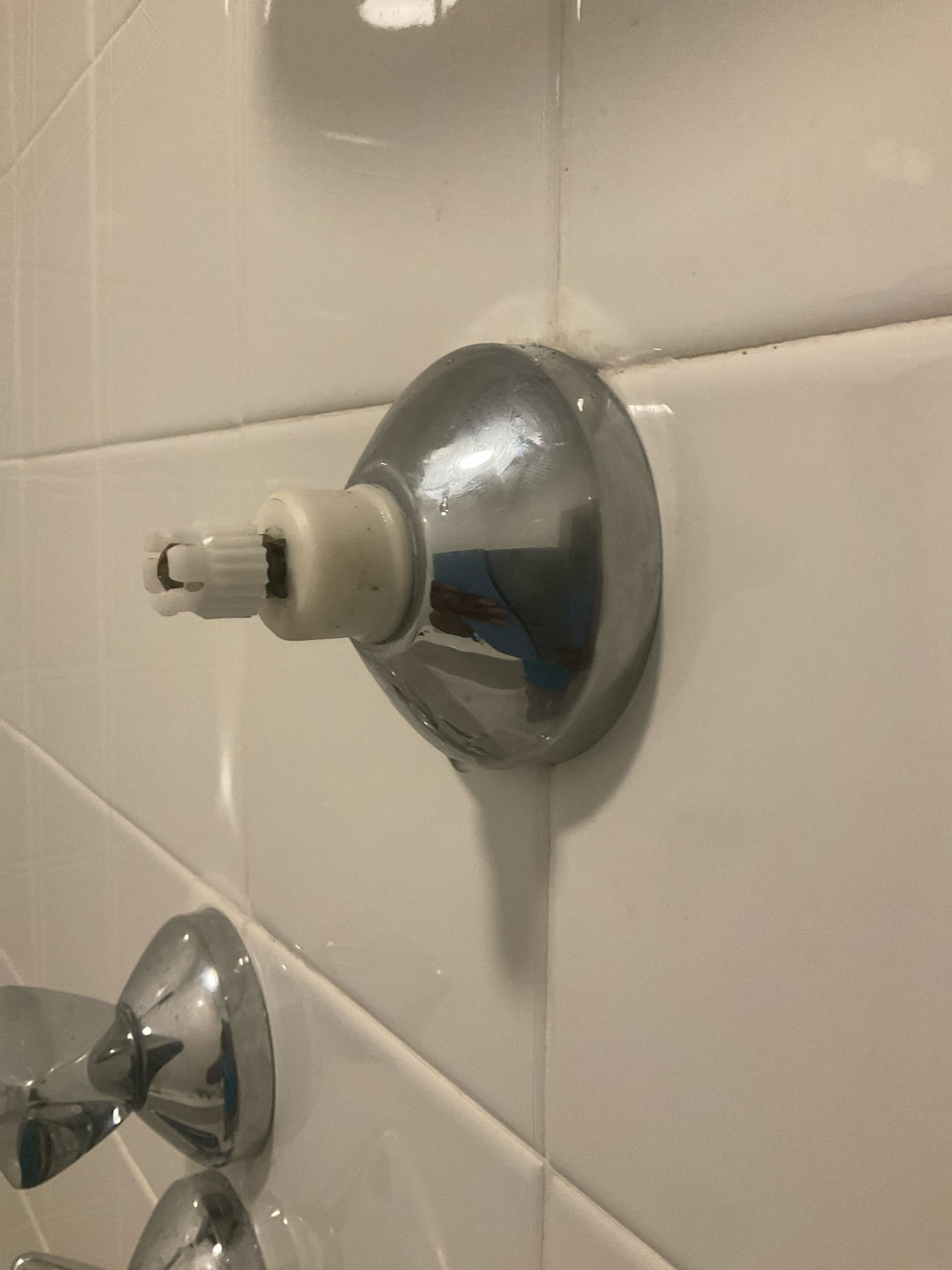 Cherry Blossom Plumbing Image