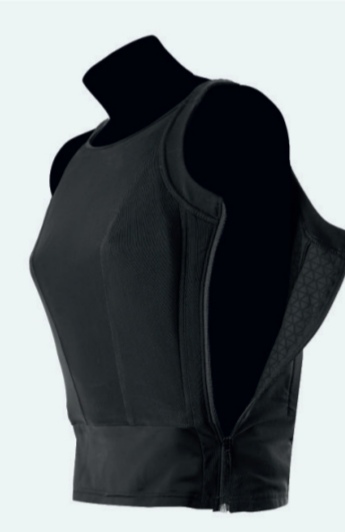 Shield of Wolf Kolarovics Keelan e.U., Stockerauer Postweg 5/3 in Korneuburg