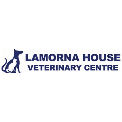 Lamorna House Veterinary Centre - Tuckingmill Camborne 01209 713100