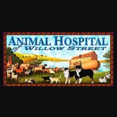 Animal Hospital Of Willow Street Logo