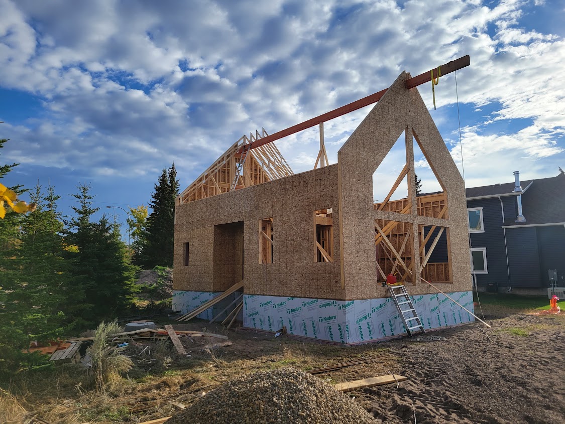 Images The Blue Spruce Builder