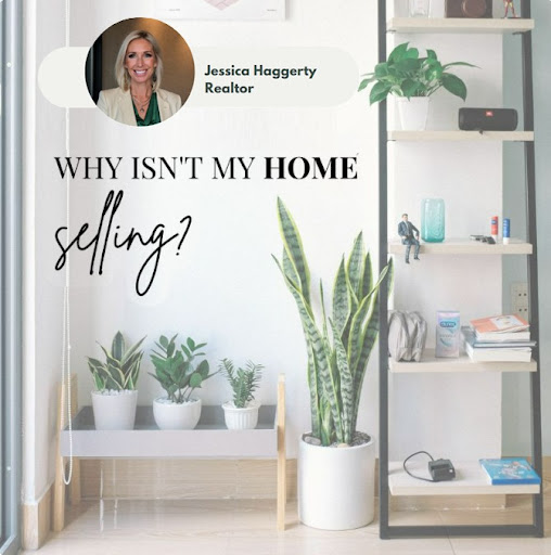 Images Jessica Haggerty