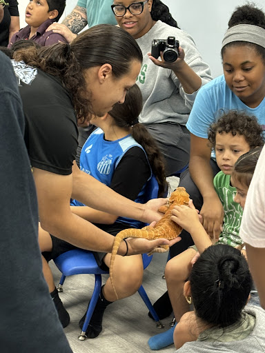 Images Cold Blooded Kingdom